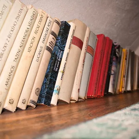 Madam S Boa Apartman *